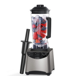 Homgeek Professional Blender 1000W